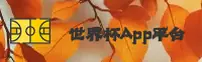 功能与服务详解